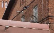 Maja T. in Budapest zu acht Jahren Haft verurteilt