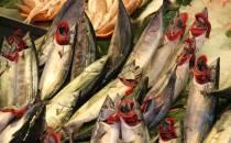 Fischerzeugung in Aquakulturen gesunken
