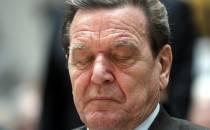 EU-Abgeordnete wollen Schröder auf Sanktionsliste setzen