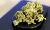 Herbert Reul kritisiert geplante Cannabis-Legalisierung